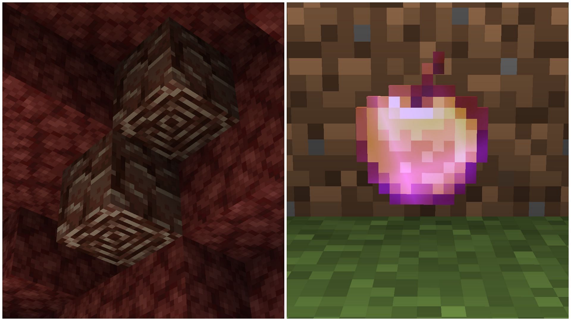 There are many rare items to find in Minecraft (Image via Sportskeeda)