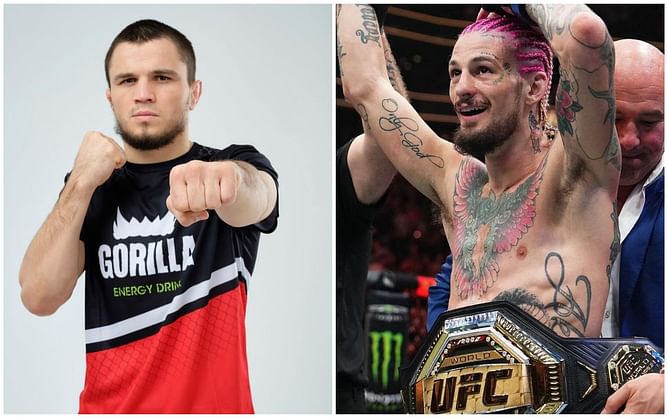 "I will choose how to finish him" - Umar Nurmagomedov dismisses Sean O'Malley as a threat as he eyes UFC bantamweight title