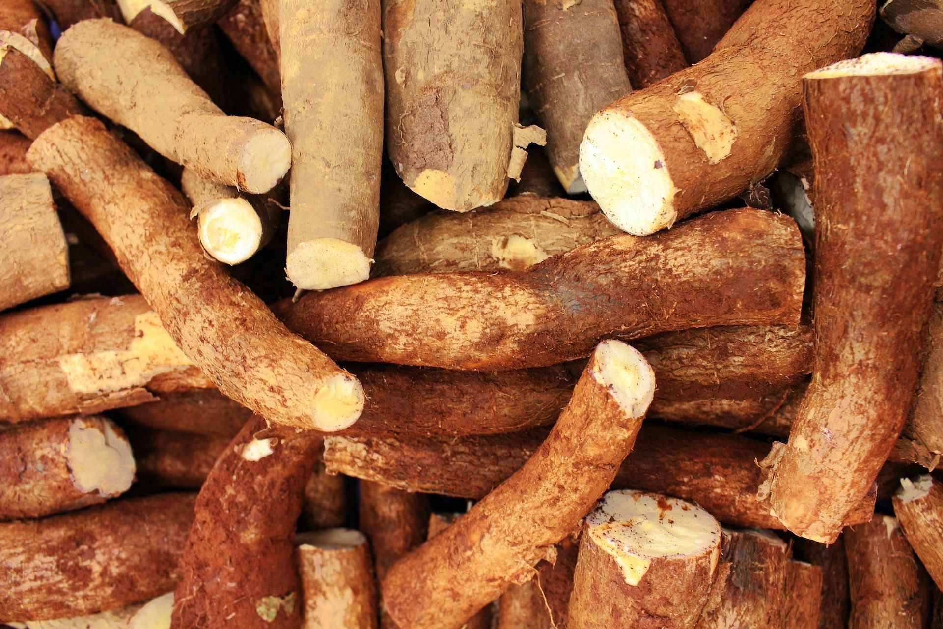 Cassava contains niacin, vitamin B6, and more. (Image via Pexels/Daniel Dan)