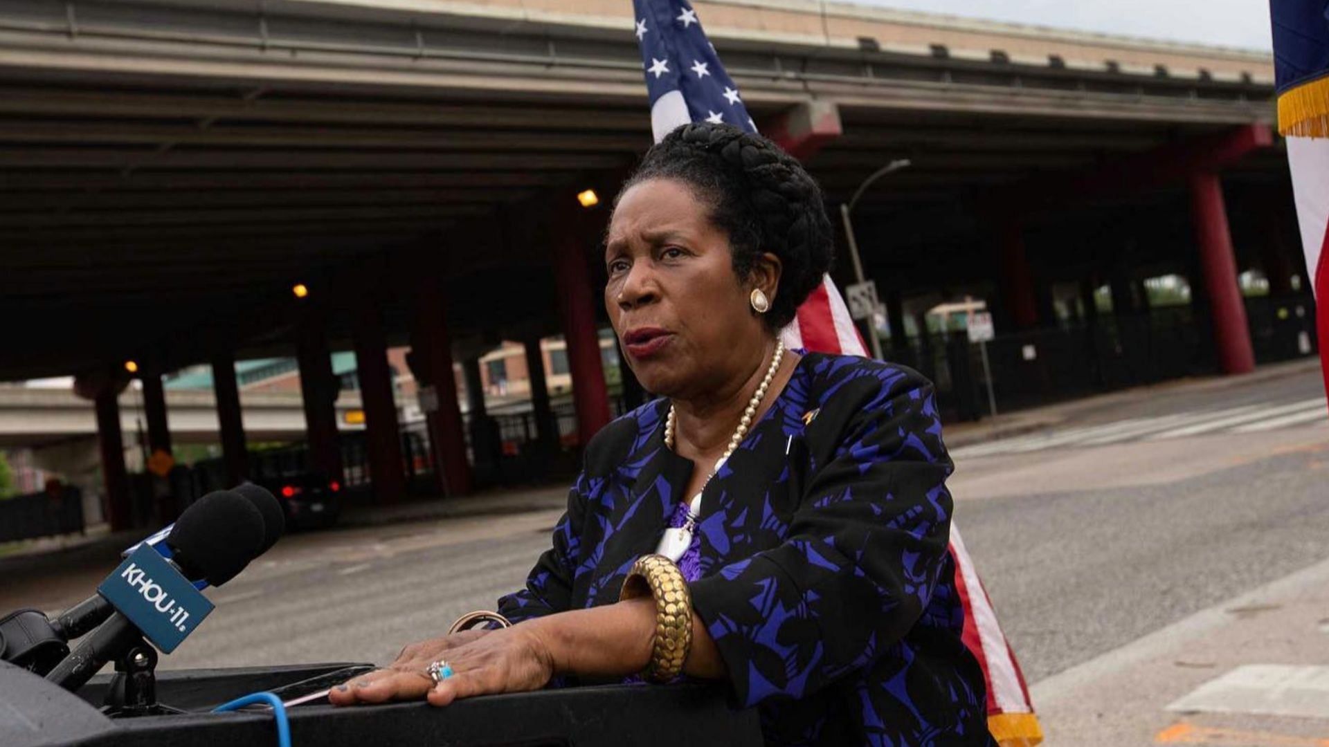 Rep. Sheila Jackson Lee acknowledges recording in statement amidst Gerald Womack attack (Image via Instagram/@sheilajacksonlee)