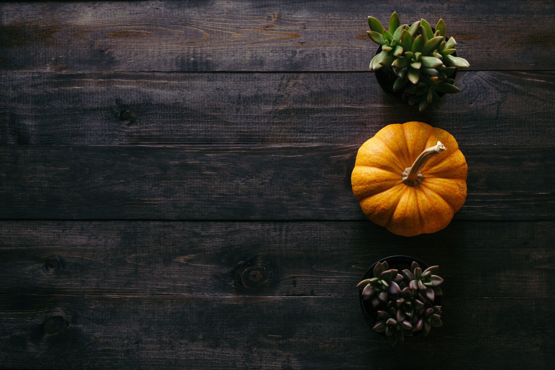 Pumpkin (Image via Unsplash/Patrick)