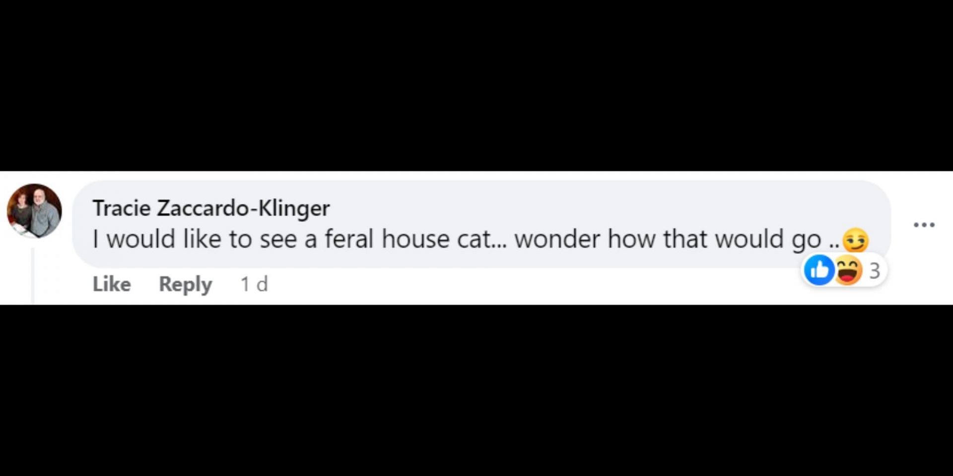 Netizens react to alleged cougar sighting in Pennsylvania and PGC concluding that it was a &#039;feral house cat&#039;. (Image via Facebook/WFMZ)