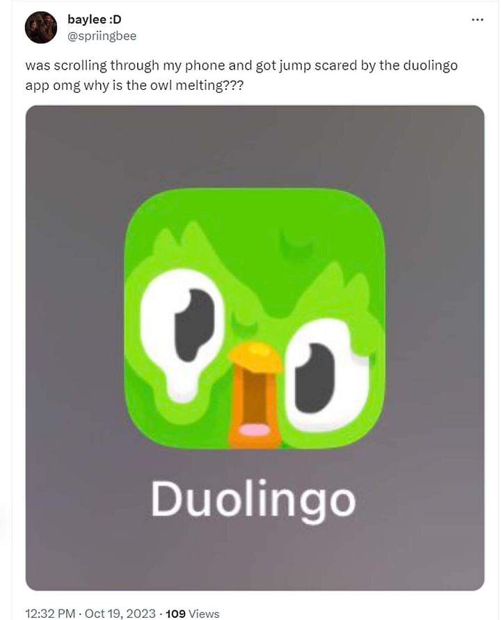 melting duolingo app icon