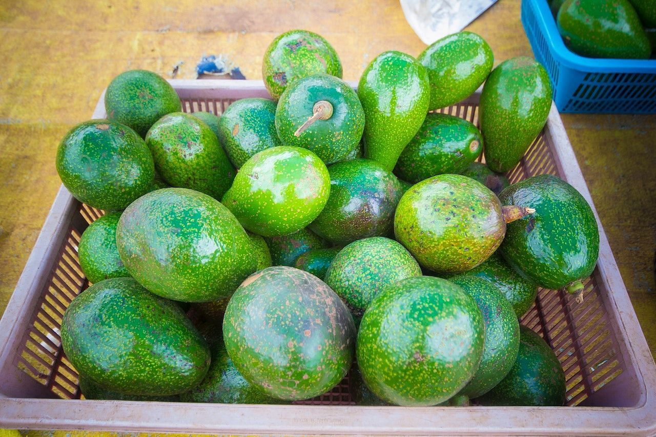Avocados. (Image credits: Pexels/ Suraphat Nueaon)