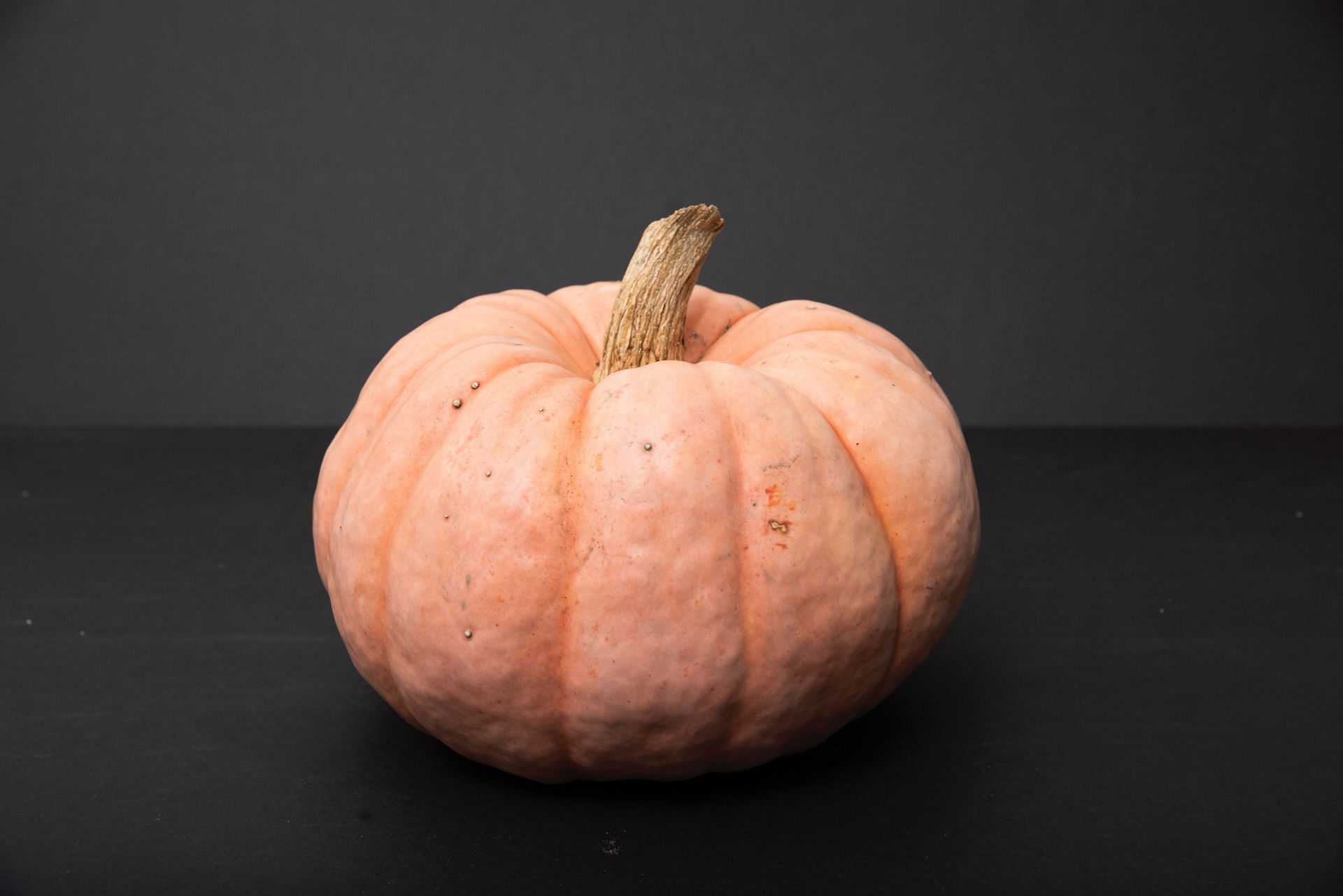 Pumpkin (Image via Unsplash/Ilze)