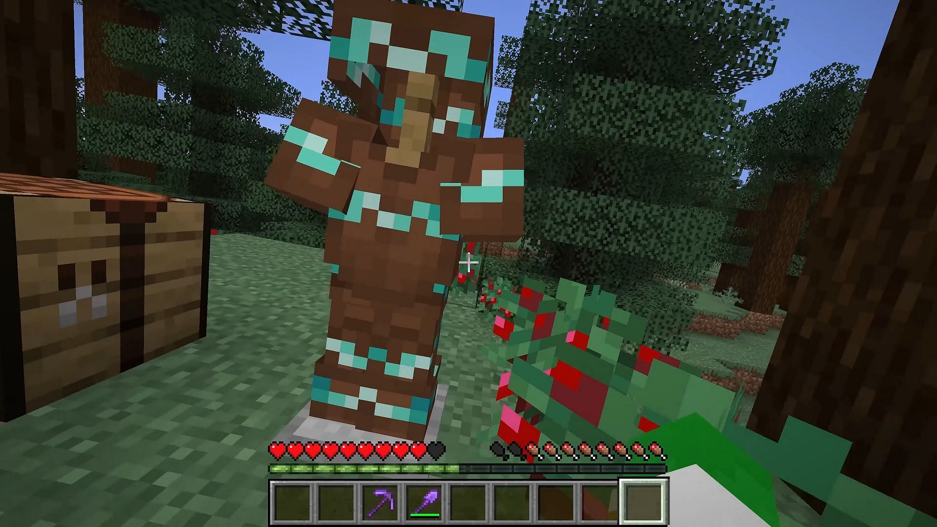 Wayfinder armor trims have decent appeal and can be quite hard to find (Image via Eyecraftmc/YouTube)