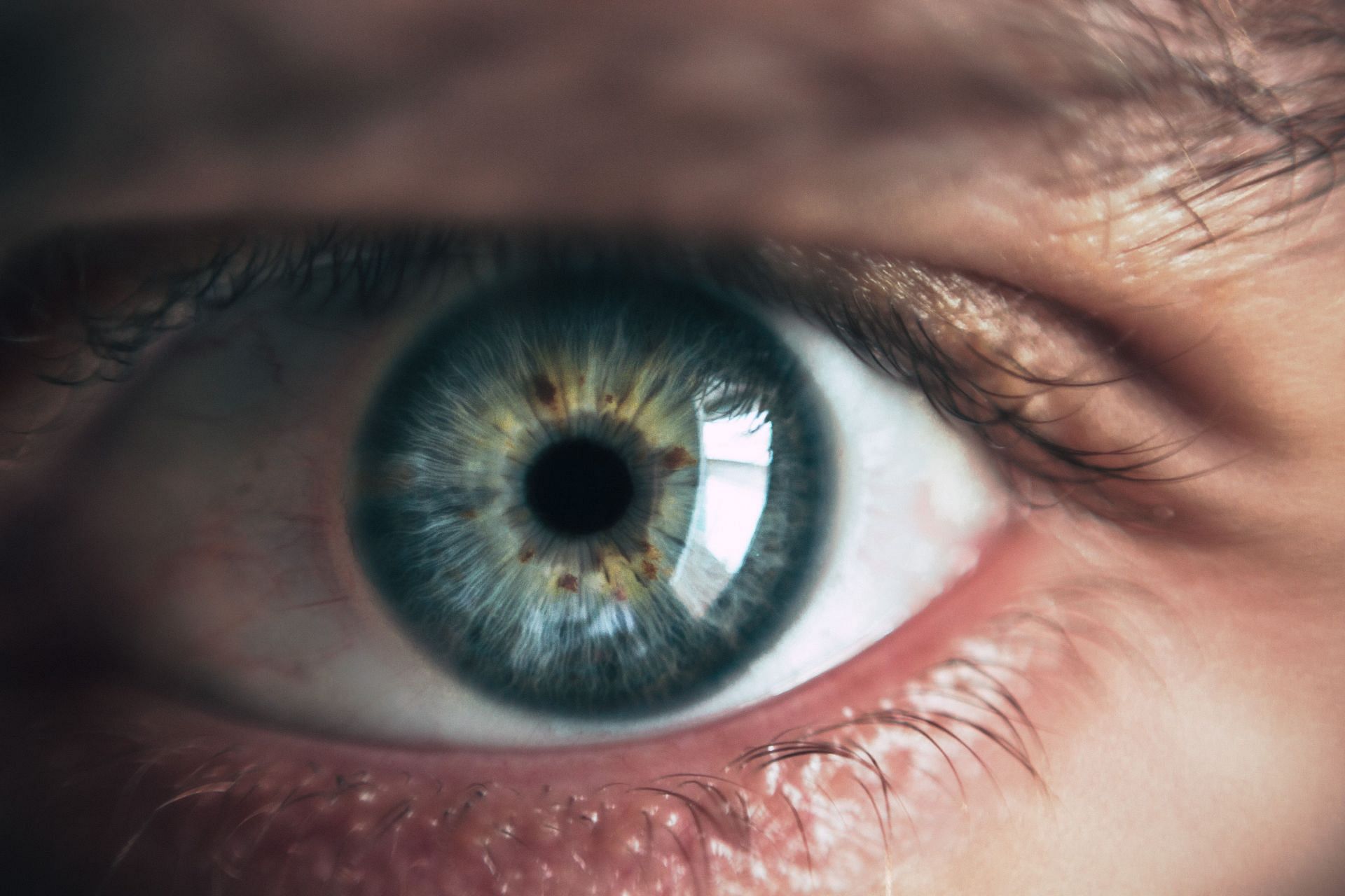 Dilated eyes (Image via Unsplash/Victor Frietas)