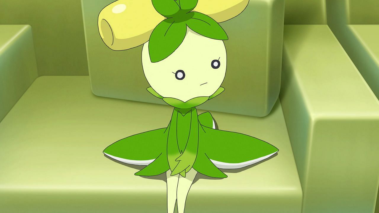 Dolliv as seen in the anime (Image via The Pokemon Company)
