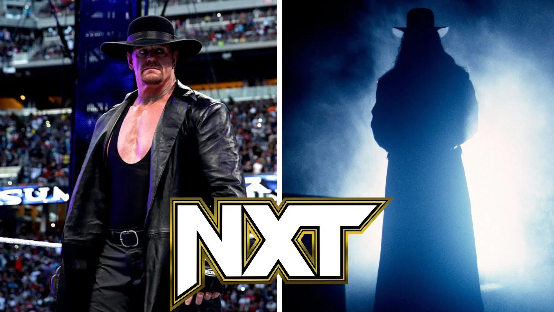 The Undertaker could be one of the names appearing at NXT 