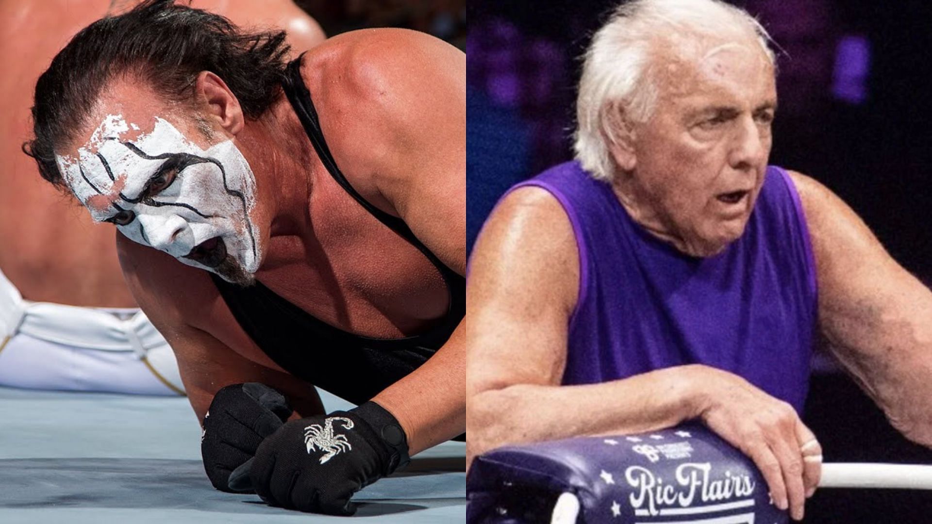 Would Sting be able to turn down one more match with Ric Flair?