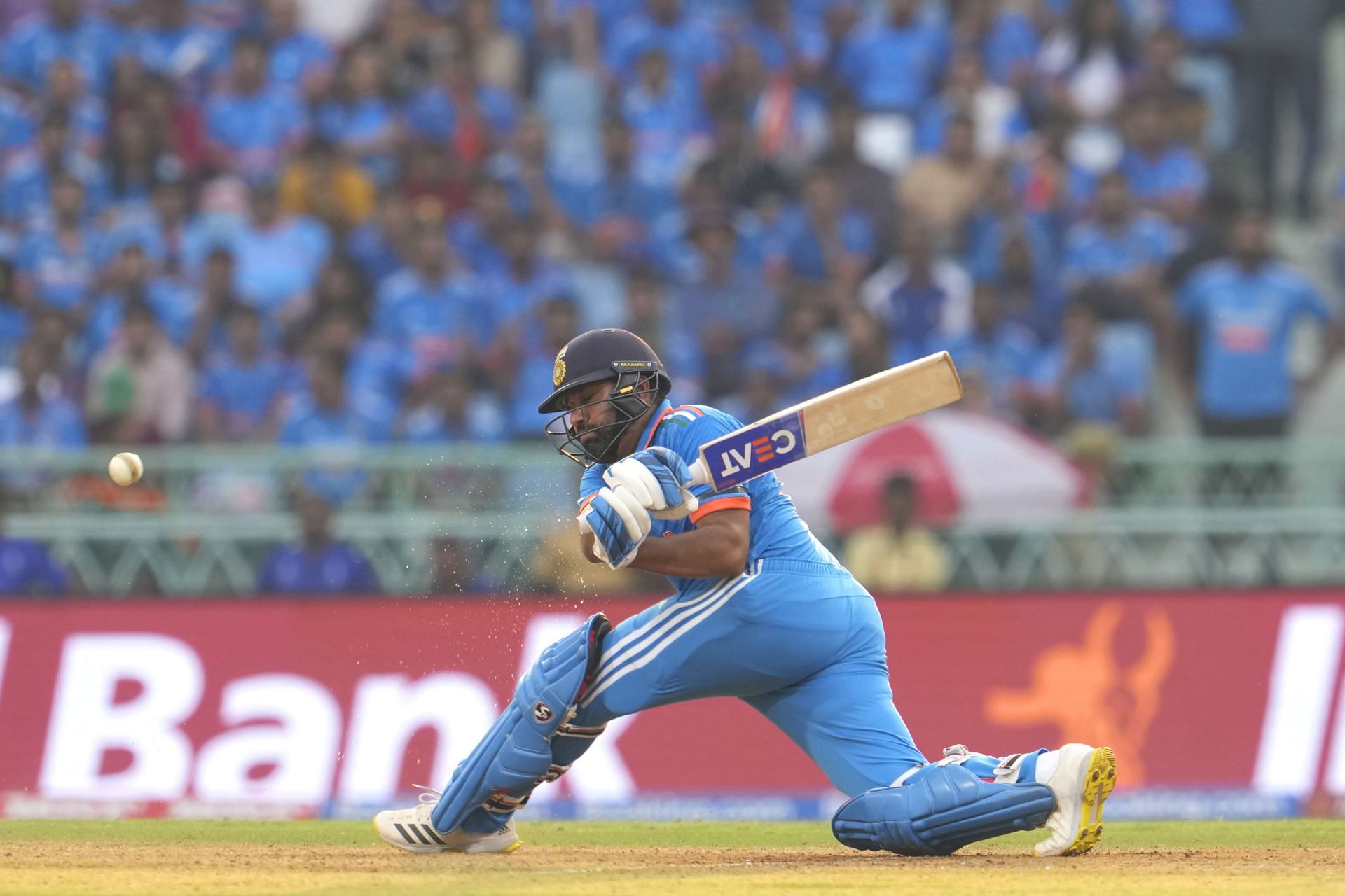 (Rohit Sharma was at his belligerent best in the 2023 ODI World Cup. (P/C: AP)