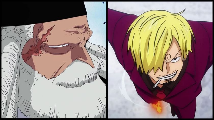 One Piece: Devil Fruits That Would Be Perfect For Sanji