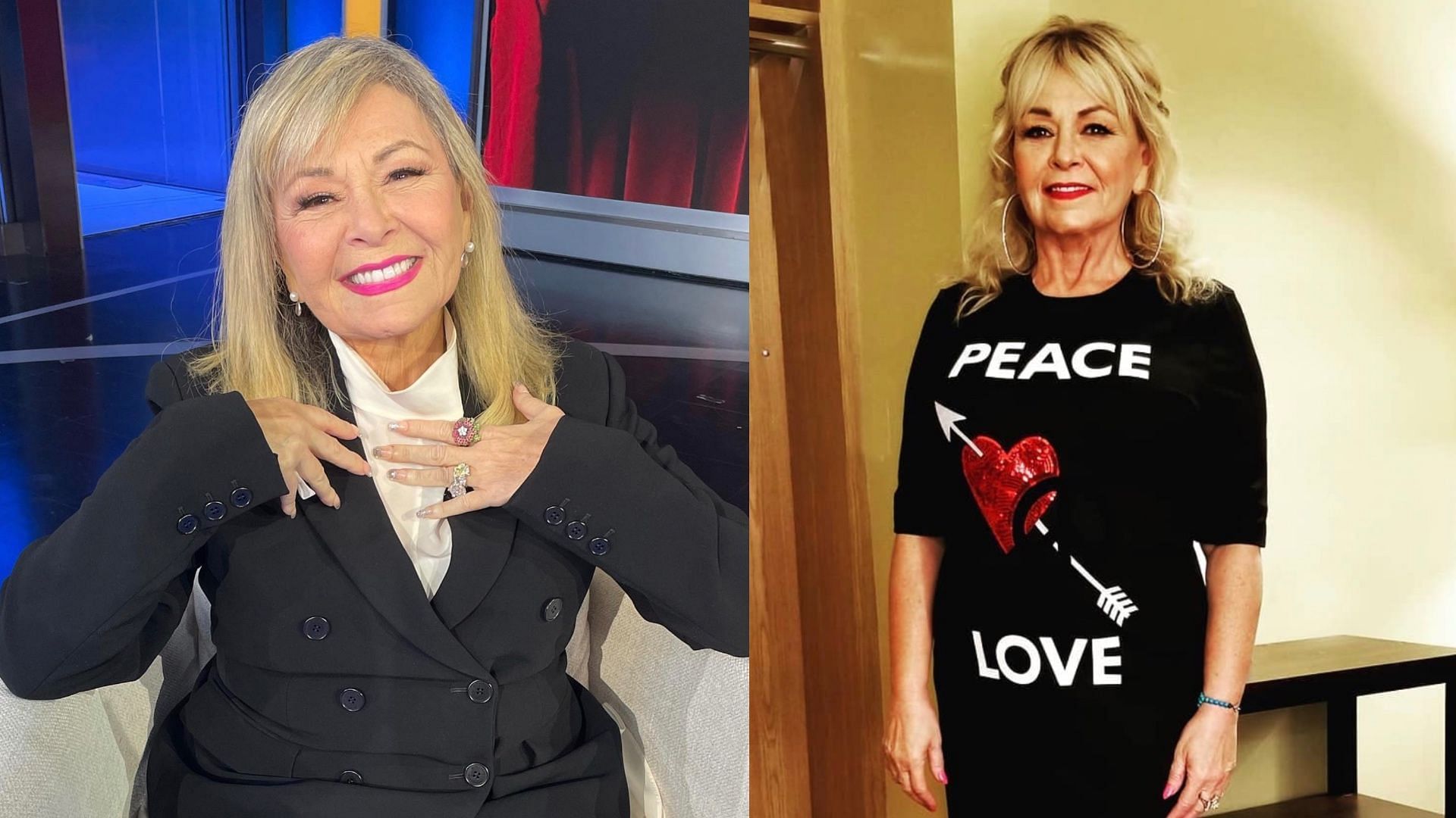 Roseanne Barr talks about Jewish and Black Democrats. (Images via Instagram/@officialroseannbarr)