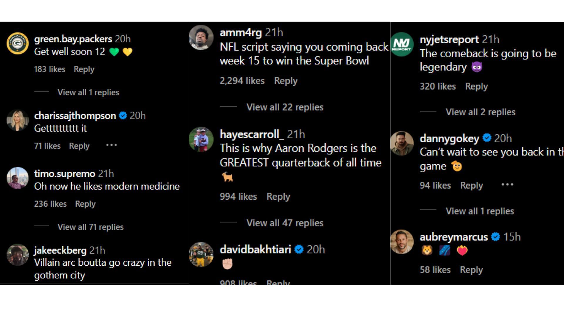 Image Credit: Aaron Rodgers&#039; Instagram post&#039;s comment section