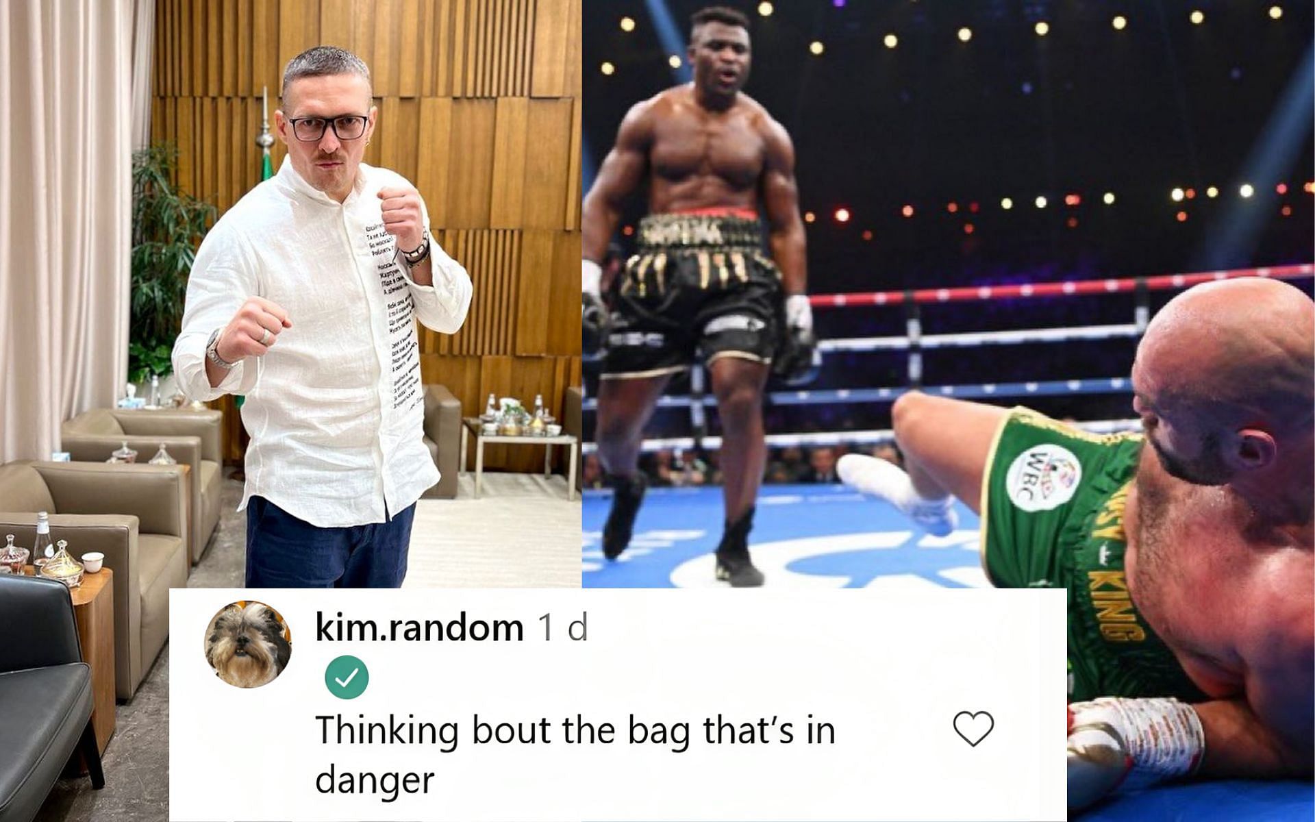 Oleksandr Usyk (left) and Francis Ngannou knocking down Tyson Fury (right) (Image credits @usykaa and @francisngannou on Instagram)