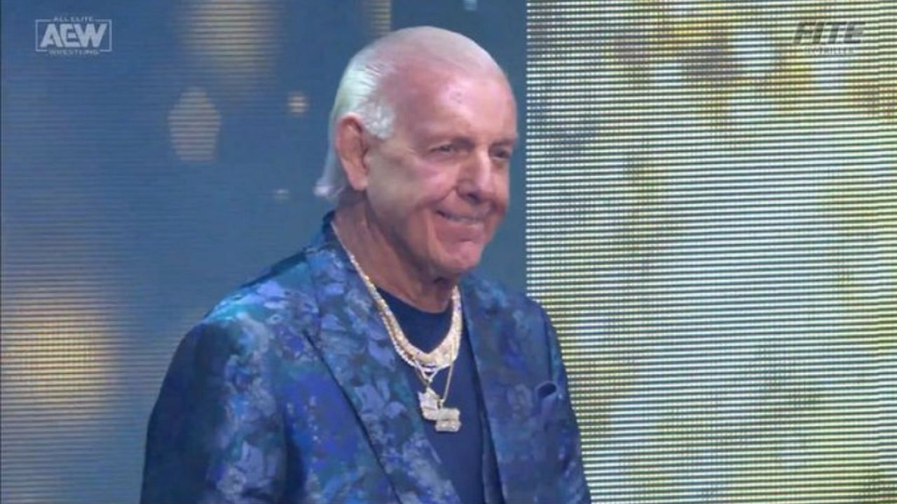 Former WWE Champion Ric Flair showed up on AEW Dynamite