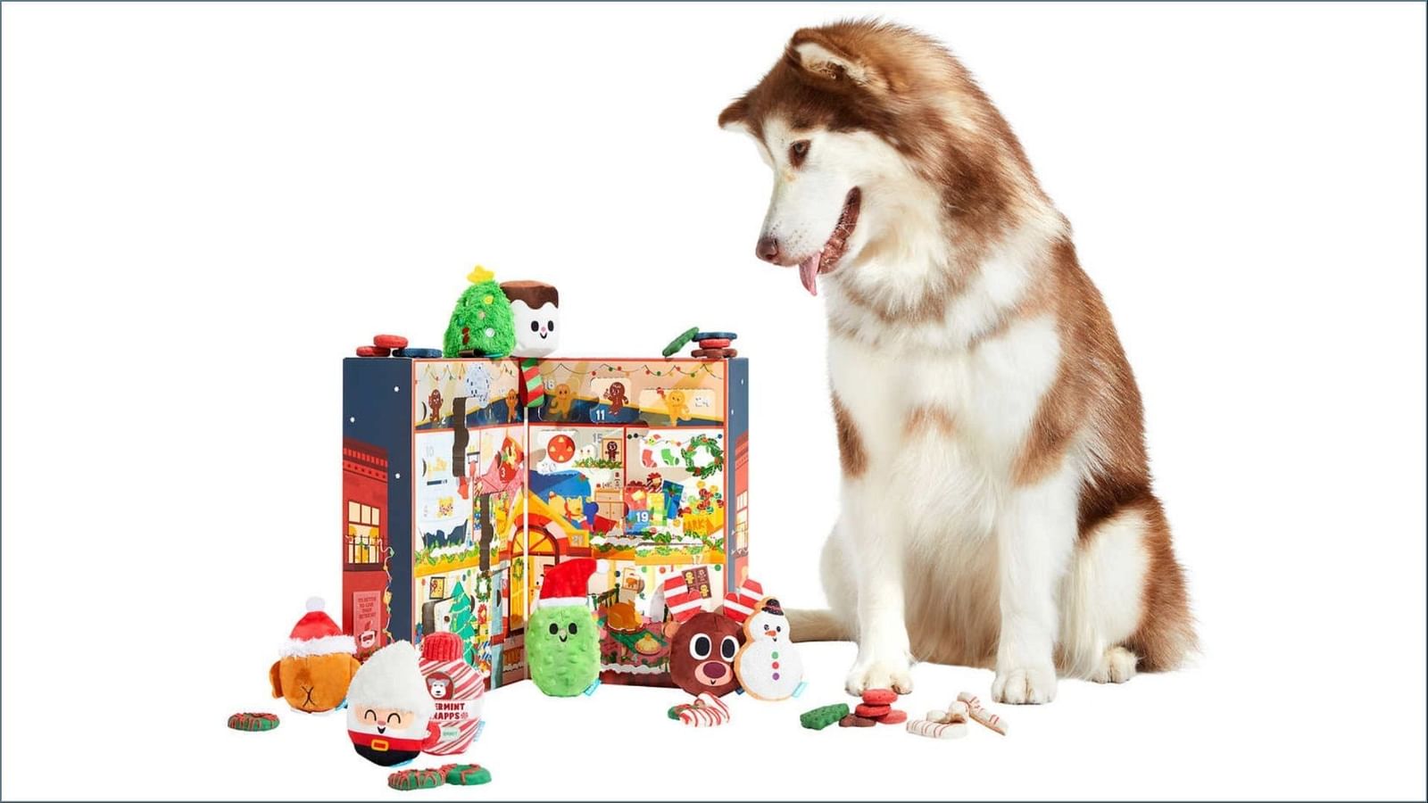 Costco sells BARK’s Dog Advent Calendar Price, availability, and all