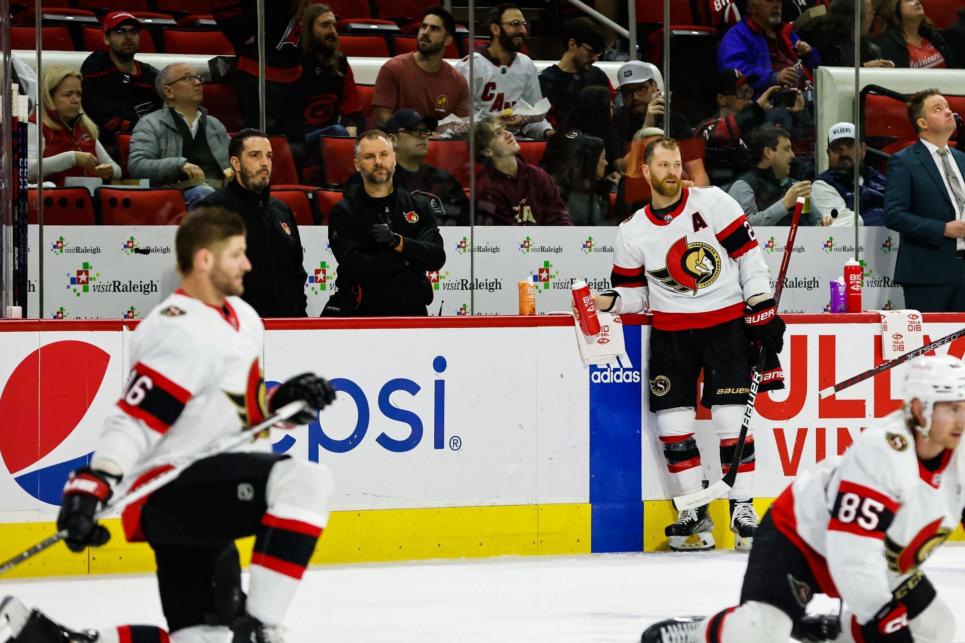 Ottawa Senators could be a playoff team