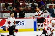 Ottawa Senators could be a playoff team