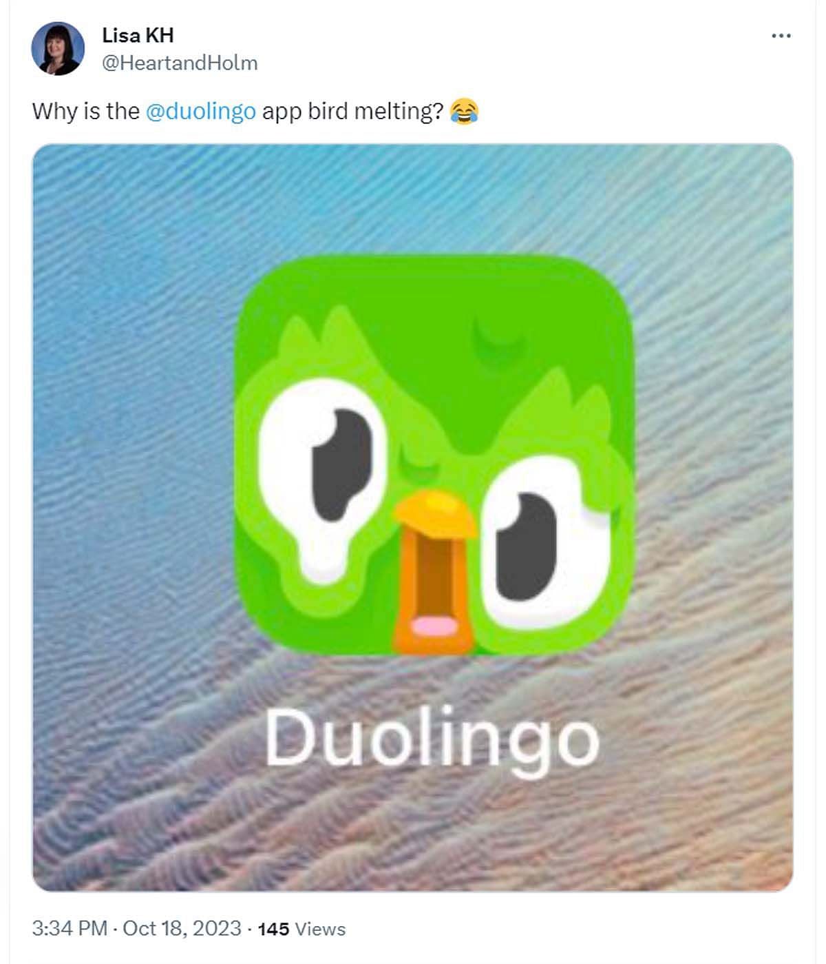 Duolingo logo melting