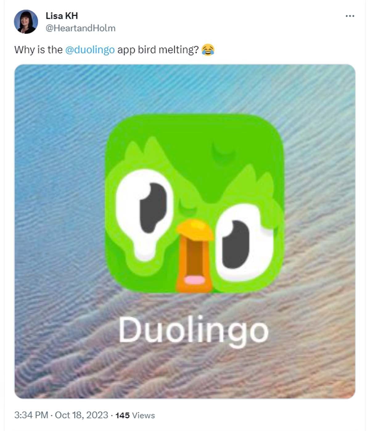 Ich Will Die Farbe Verbessern Duolingo Why is the Duolingo app icon melting? Viral new look owl appearance