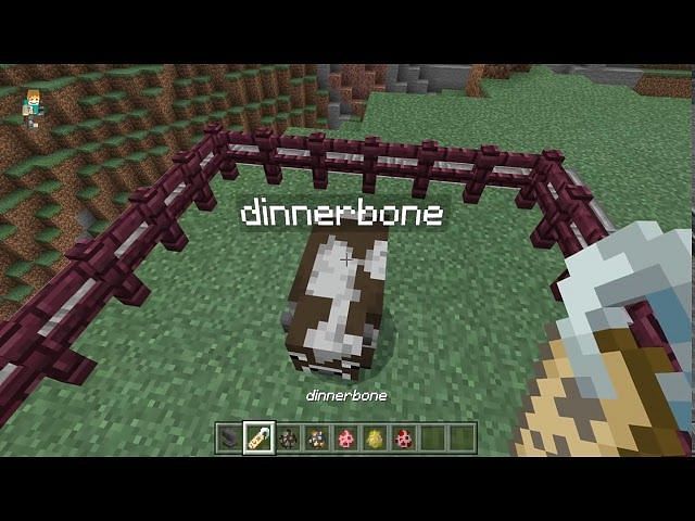 Minecraft Dinnerbone name tag Easter egg: Everything you need to know