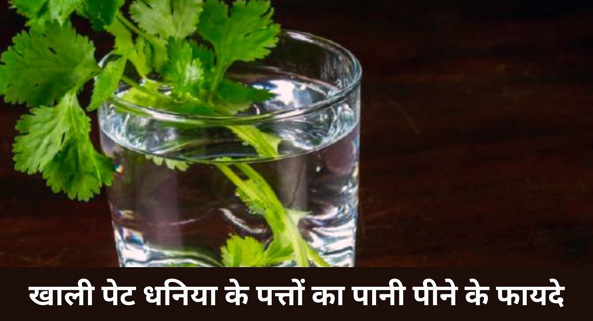 खाली पेट धनिया के पत्तों का पानी पीने के फायदे(फोटो-Sportskeeda hindi)