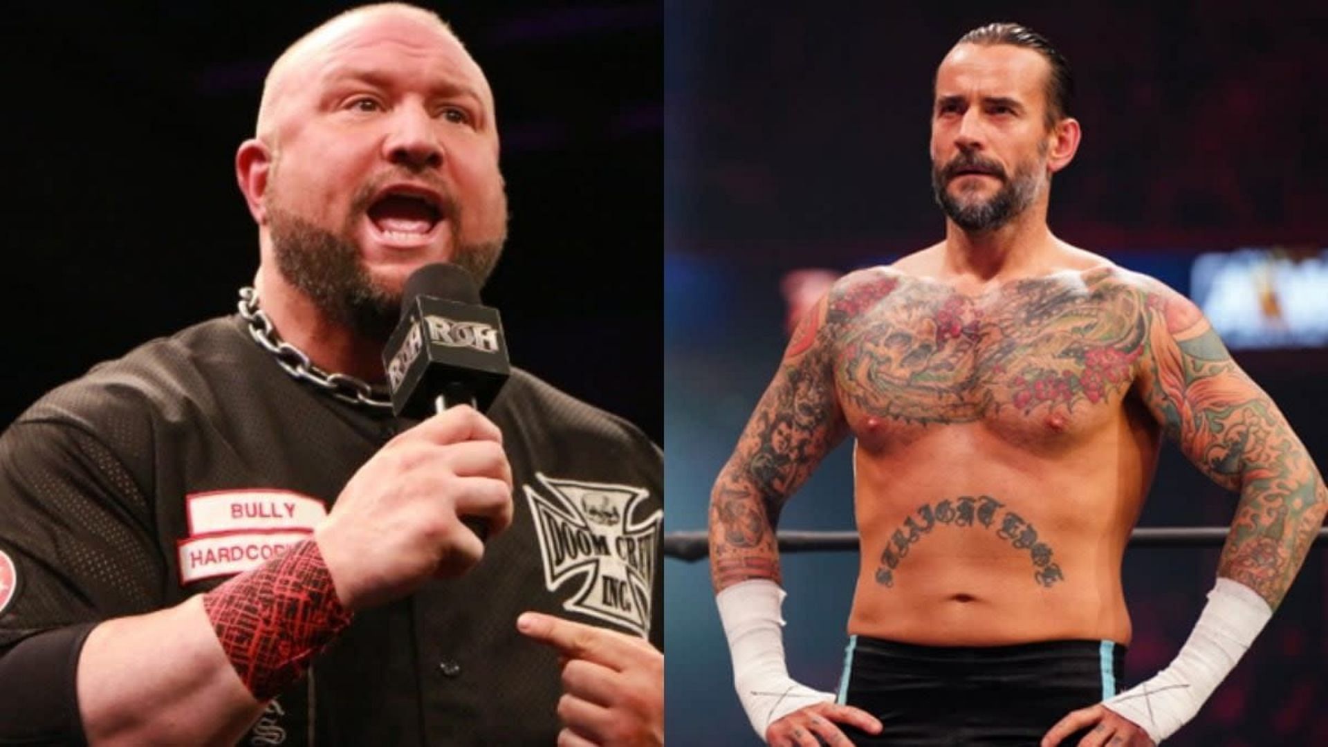 Bully Ray(left); CM Punk(right)