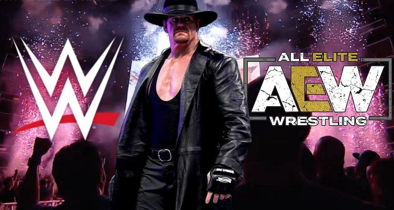 The Undertaker could show up on WWE NXT