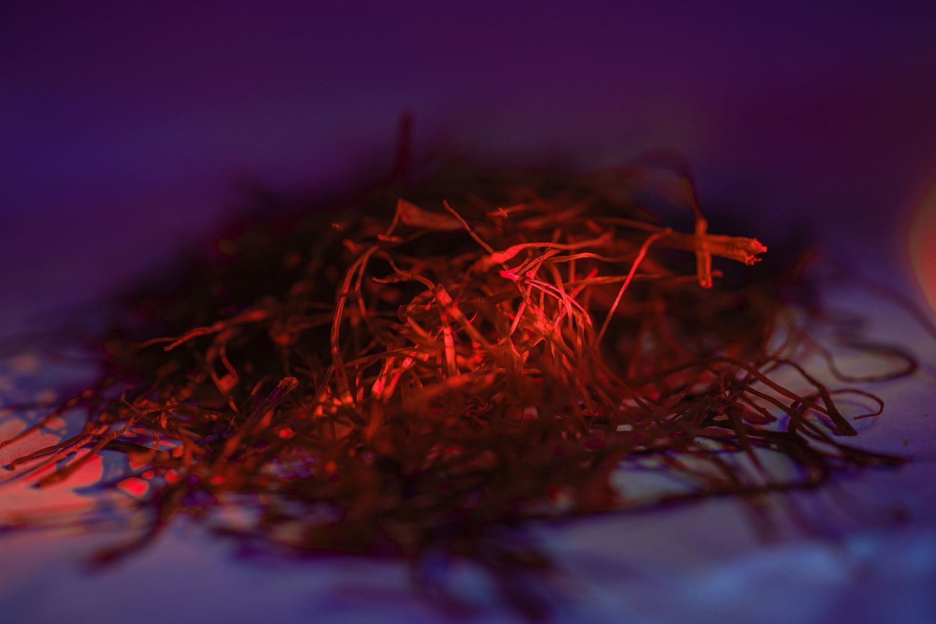 Saffron in Faked foods in the world (Image via Unsplash/Marlik)