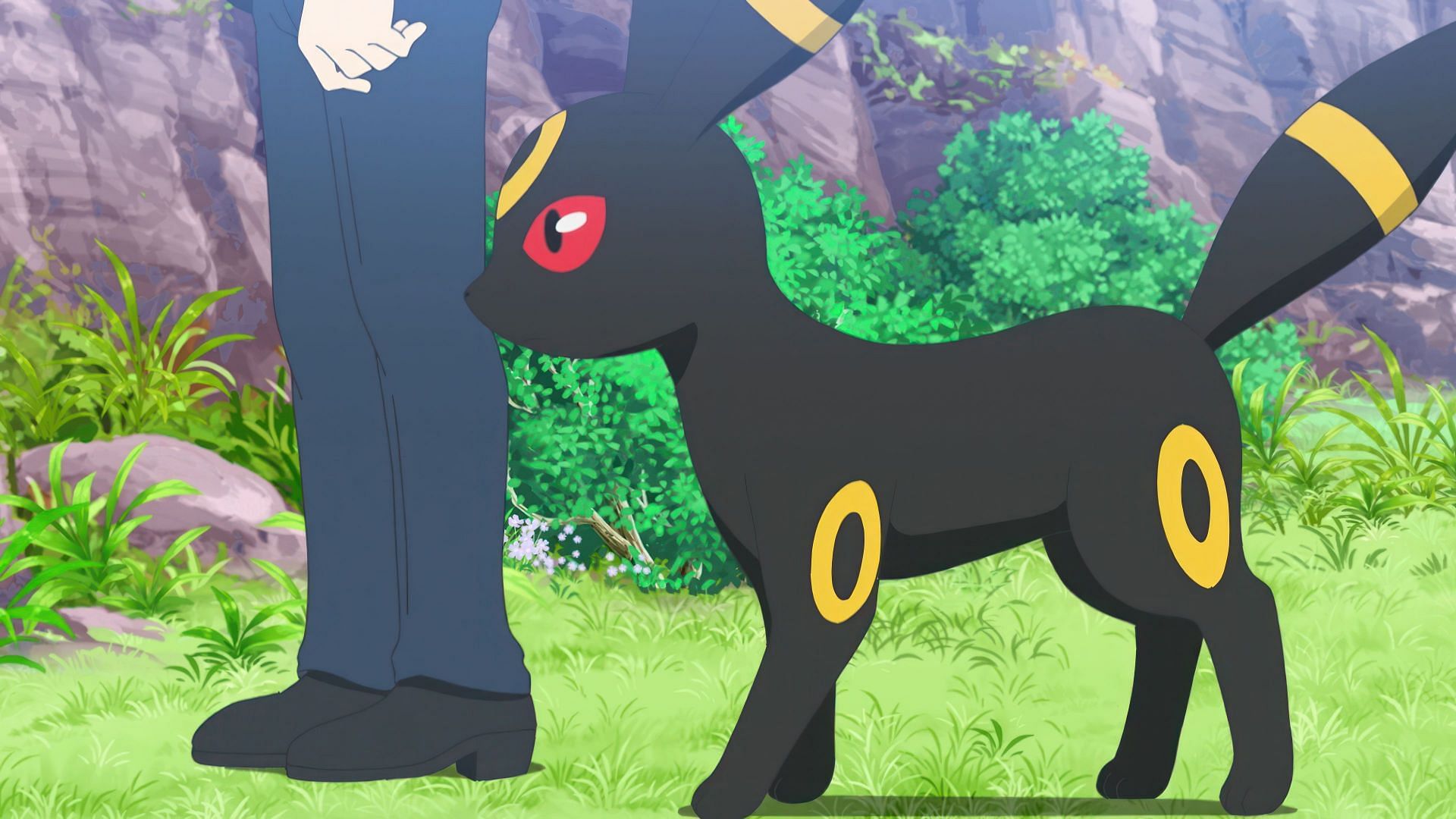 Umbreon, as seen in the anime (Image via The Pokemon Company)