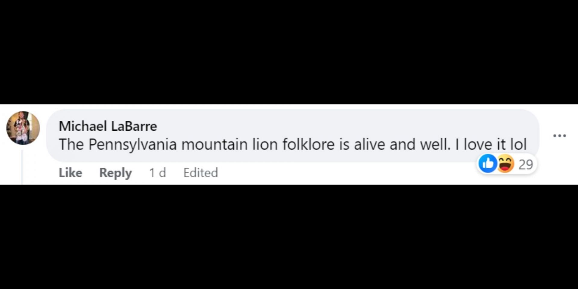 Netizens react to alleged cougar sighting in Pennsylvania and PGC concluding that it was a &#039;feral house cat&#039;. (Image via Facebook/WFMZ)