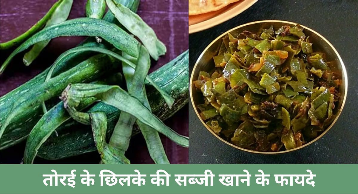 तोरई के छिलके की सब्जी खाने के फायदे(फोटो-Sportskeeda hindi)