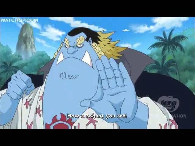 Unveiling the Similarities and Differences: One Piece Vice-Captains and Their Captains