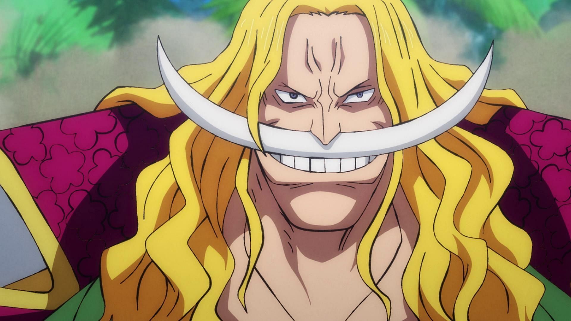 Edward Newgate &quot;Whitebeard&quot; in his prime (Image via Toei Animation, One Piece)