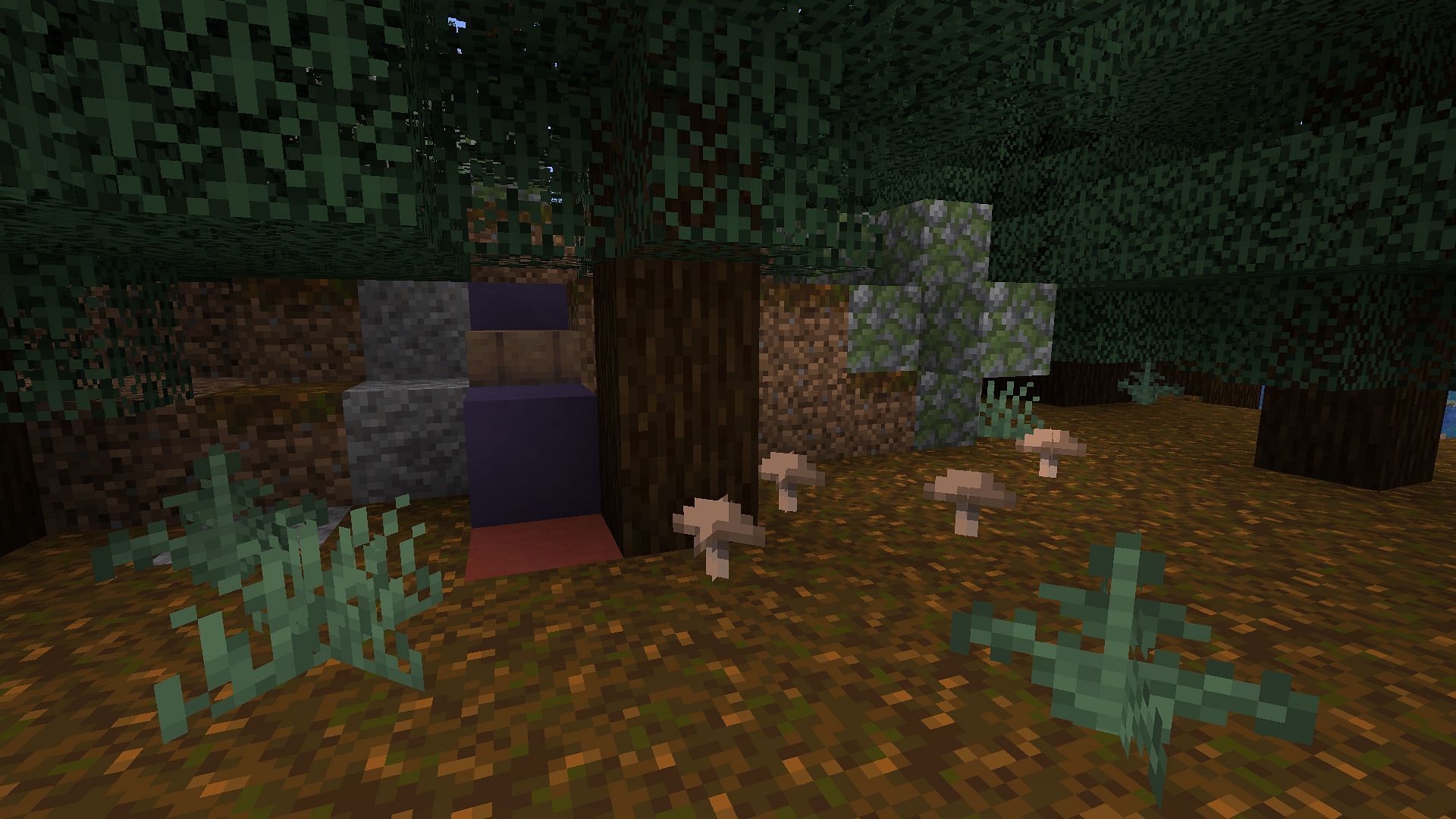 Руины тропы изобилуют в этом сиде Minecraft Java (Изображение предоставлено Mojang)