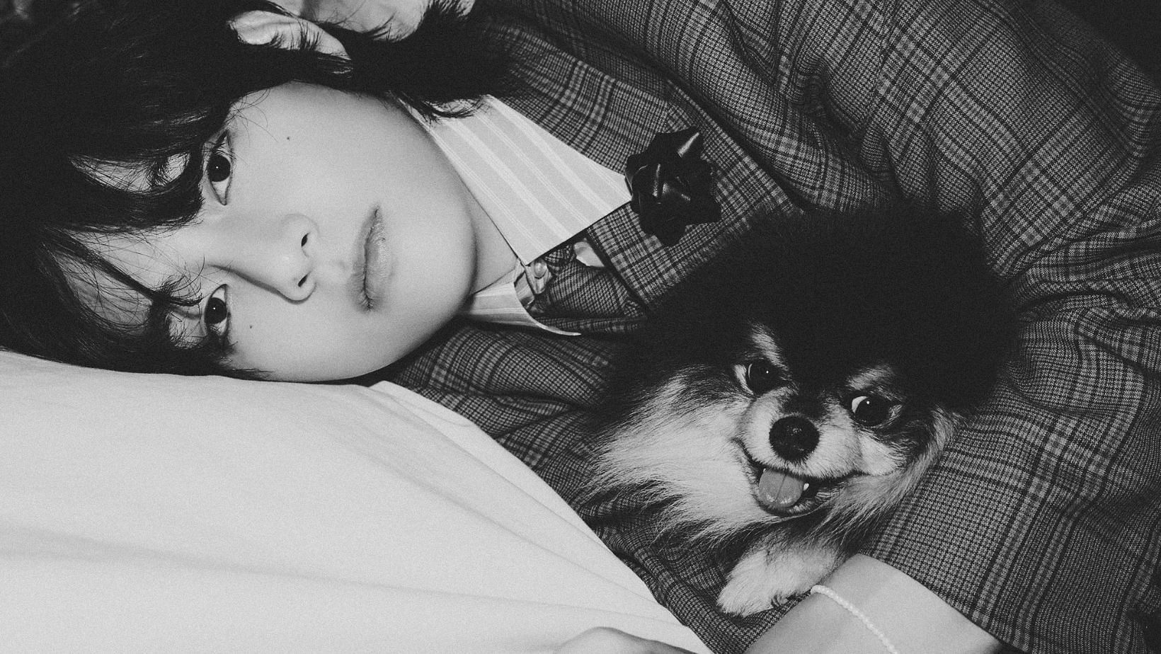 Featuring Kim Taehyung of BTS with his pet dog Kim Yeontan. (Image via Twitter/@healwithtae)