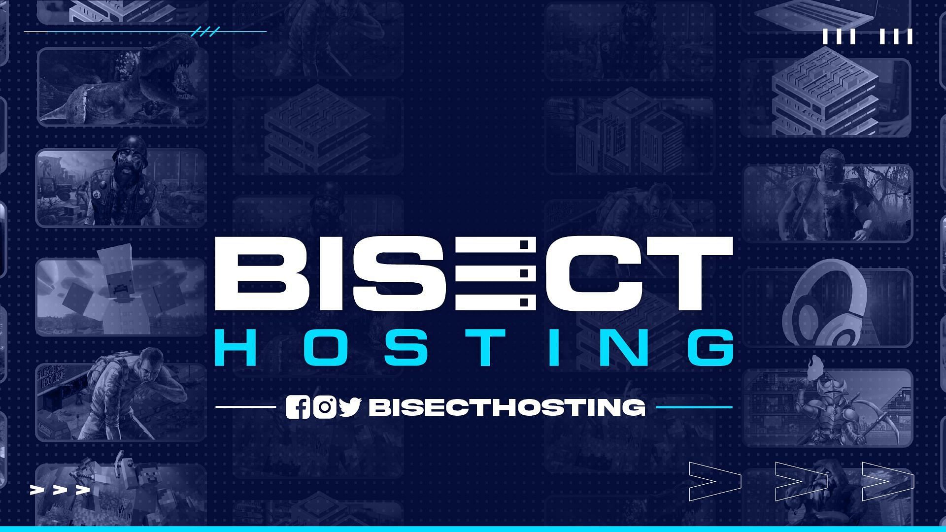 Bisect Hosting is a well-known name in the gaming server hosting industry (Image via Bisect Hosting)