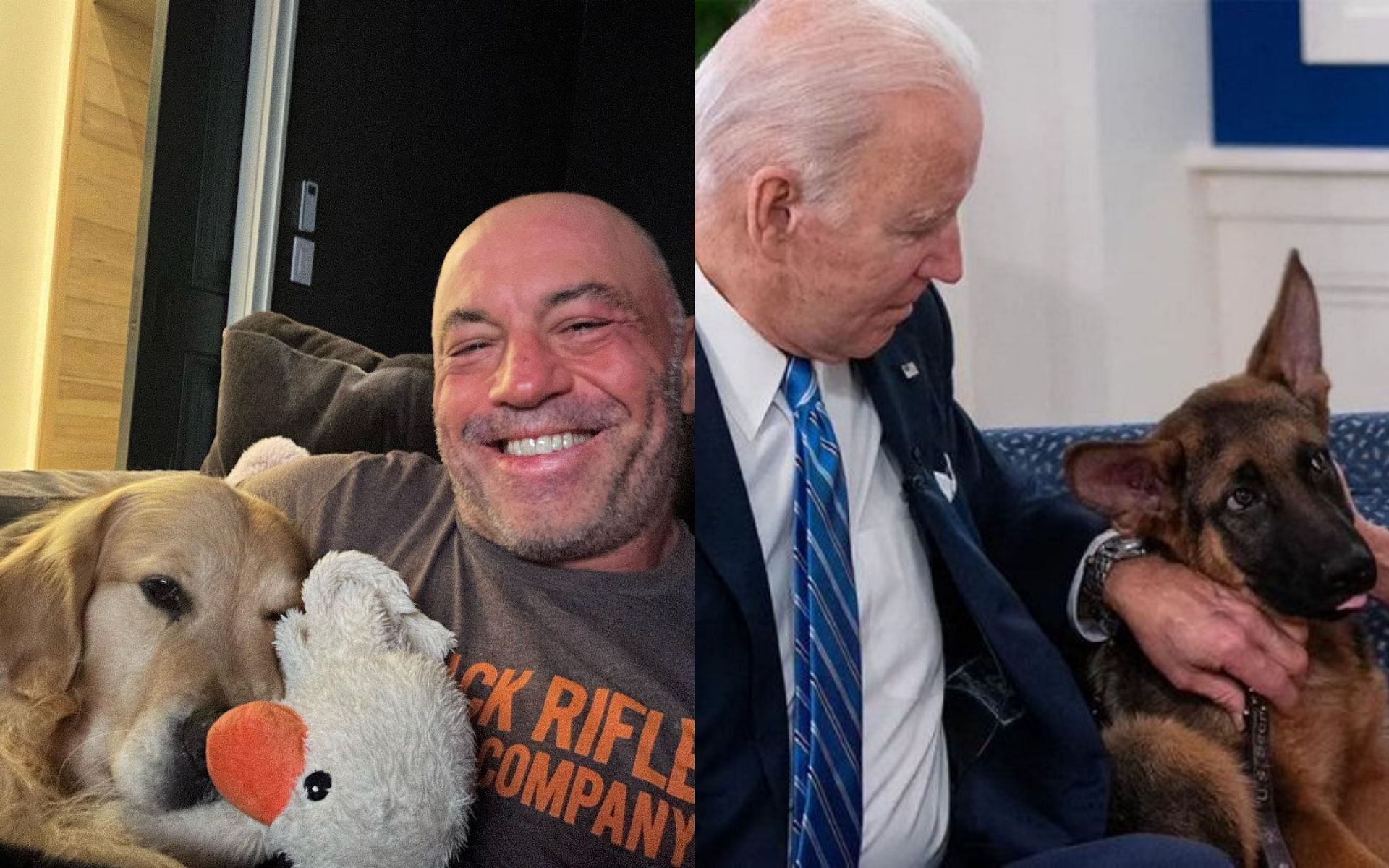Joe Rogan with his dog (left) and Joe Biden with his dog Commander (right) (Image credits @joerogan on Instagram and @CitizenFreePres on X)