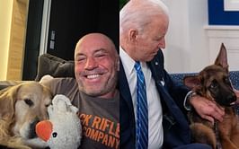 "Not just supposed to have them laying around" - Joe Rogan expresses shock at Joe Biden's dog Commander biting more Secret Service agents