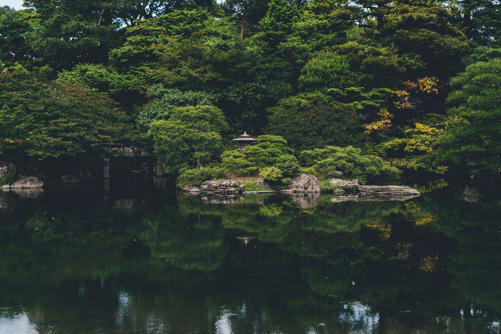 Try forest bathing (Image via Unsplash/NIC YC)