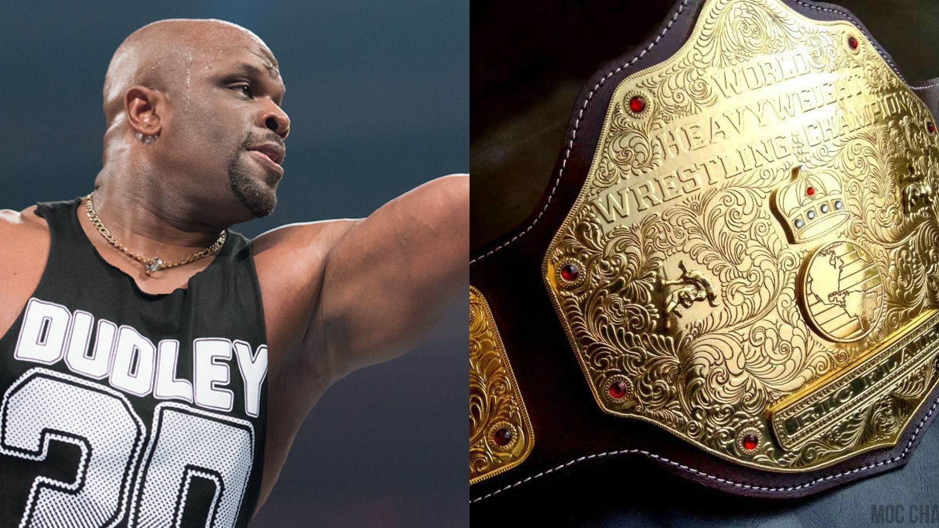 D-Von Dudley mentored the  star in his early days as a wrestler in WWE