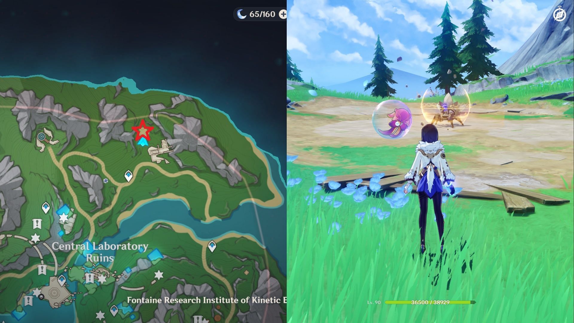 Use Geo to break its shield (Image via HoYoverse)