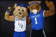 Why Is Kentucky Mascot A Wildcat 