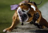 Alabama v Mississippi State