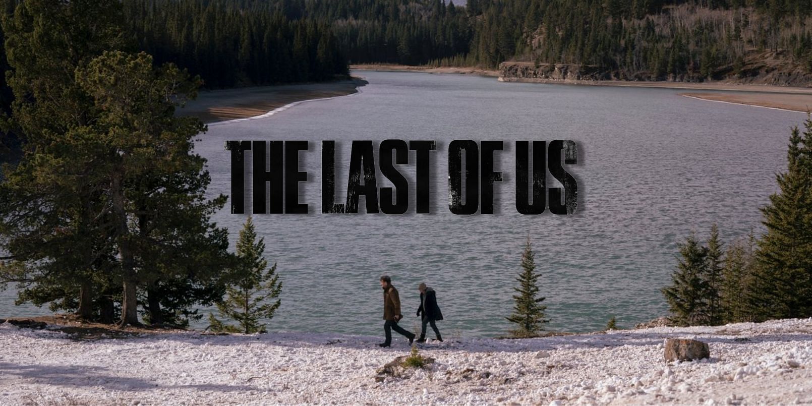 last of us season 2