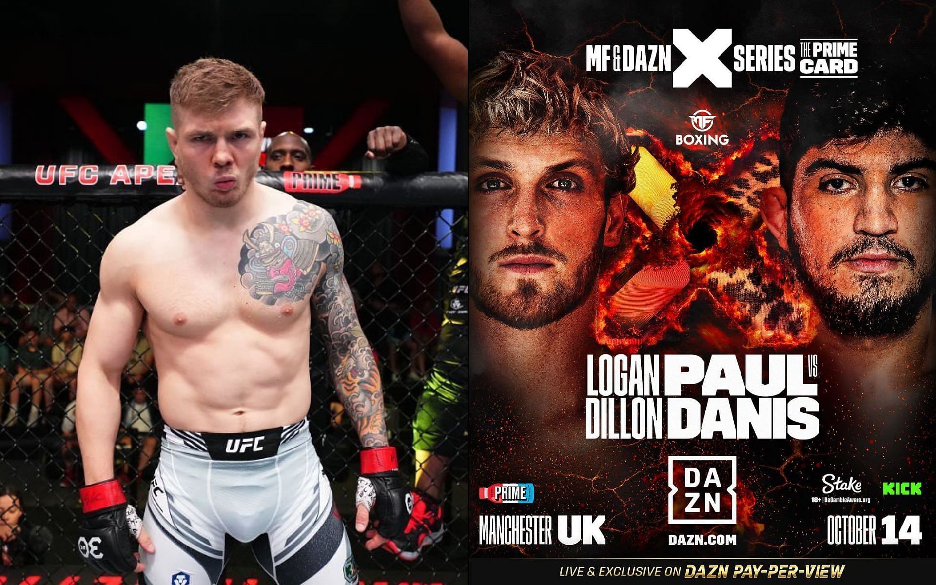 Marvin Vettori (left) and Logan Paul vs. Dillon Danis (right) [Image credits: @marvinvettori and @dillondanis on Instagram]