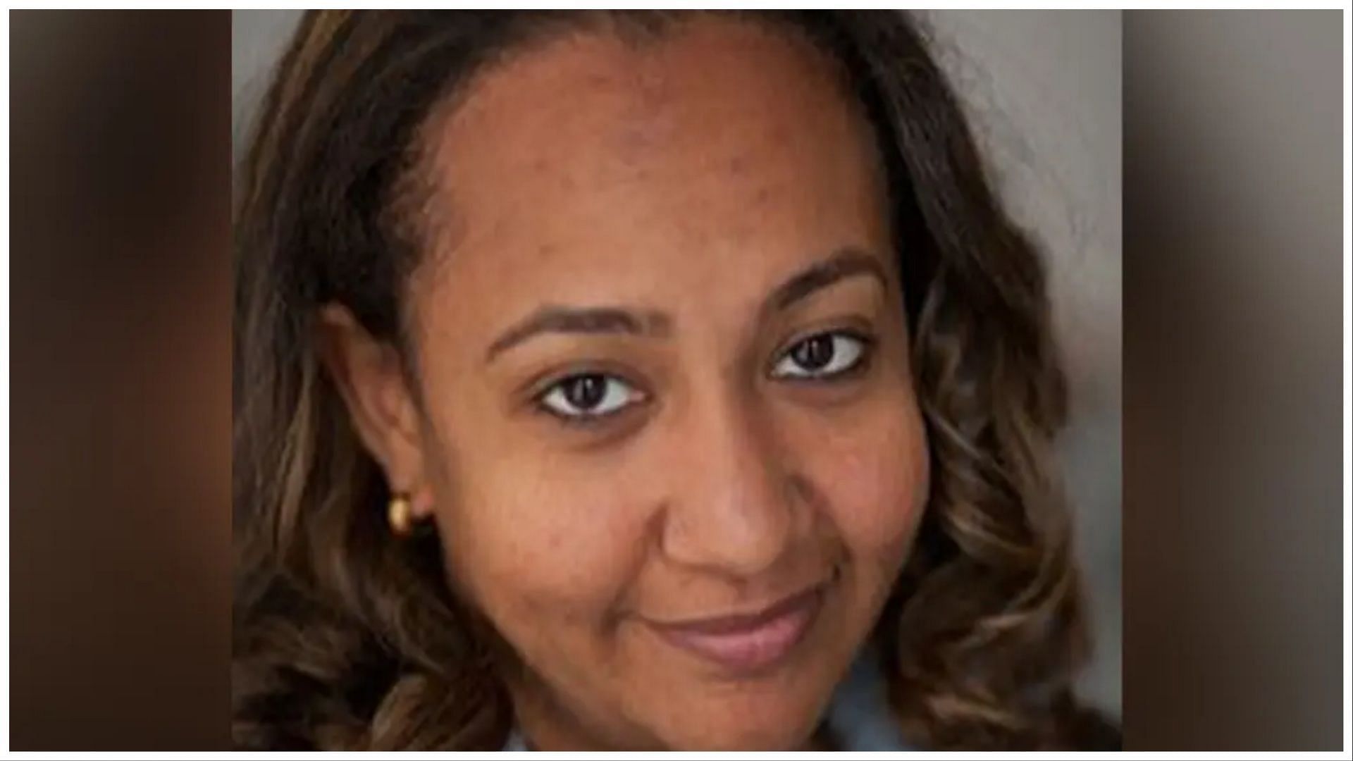 Linda Tigani became the new NYC racial equity commission (Image via Linkedin / Linda Tigani )
