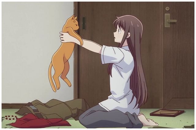 Why is the Fruits Basket anime so popular? Series' success explored