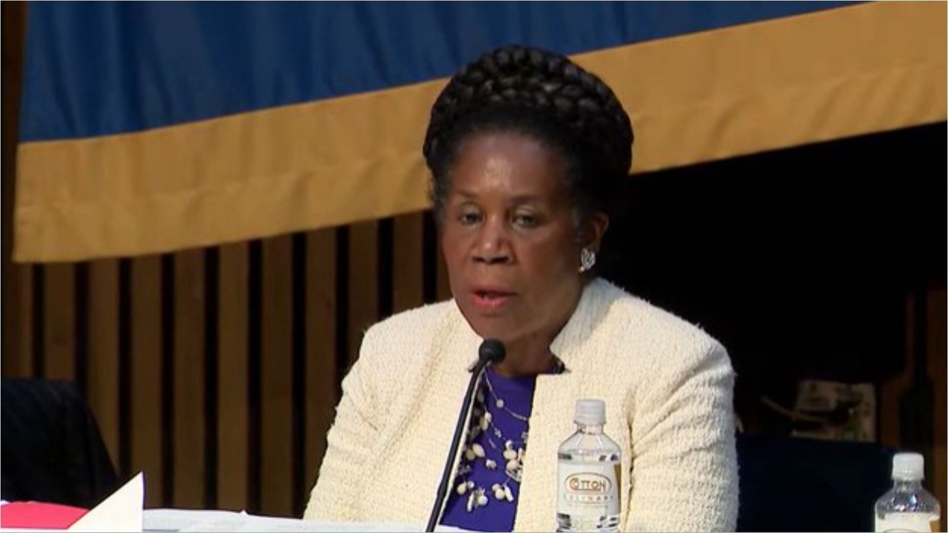 Sheila Jackson Lee